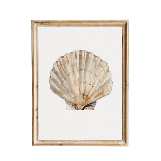 Scallop Seashell