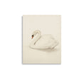 Load image into Gallery viewer, Vintage Swan a vintage-inspired nursery art print wall room art
