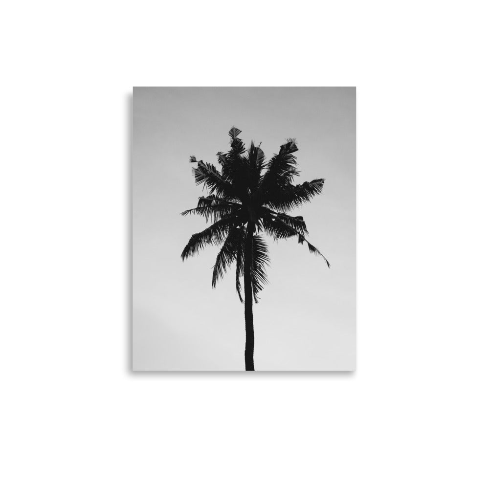 Palm