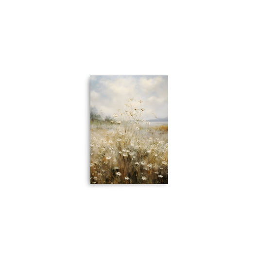 White Flower Field