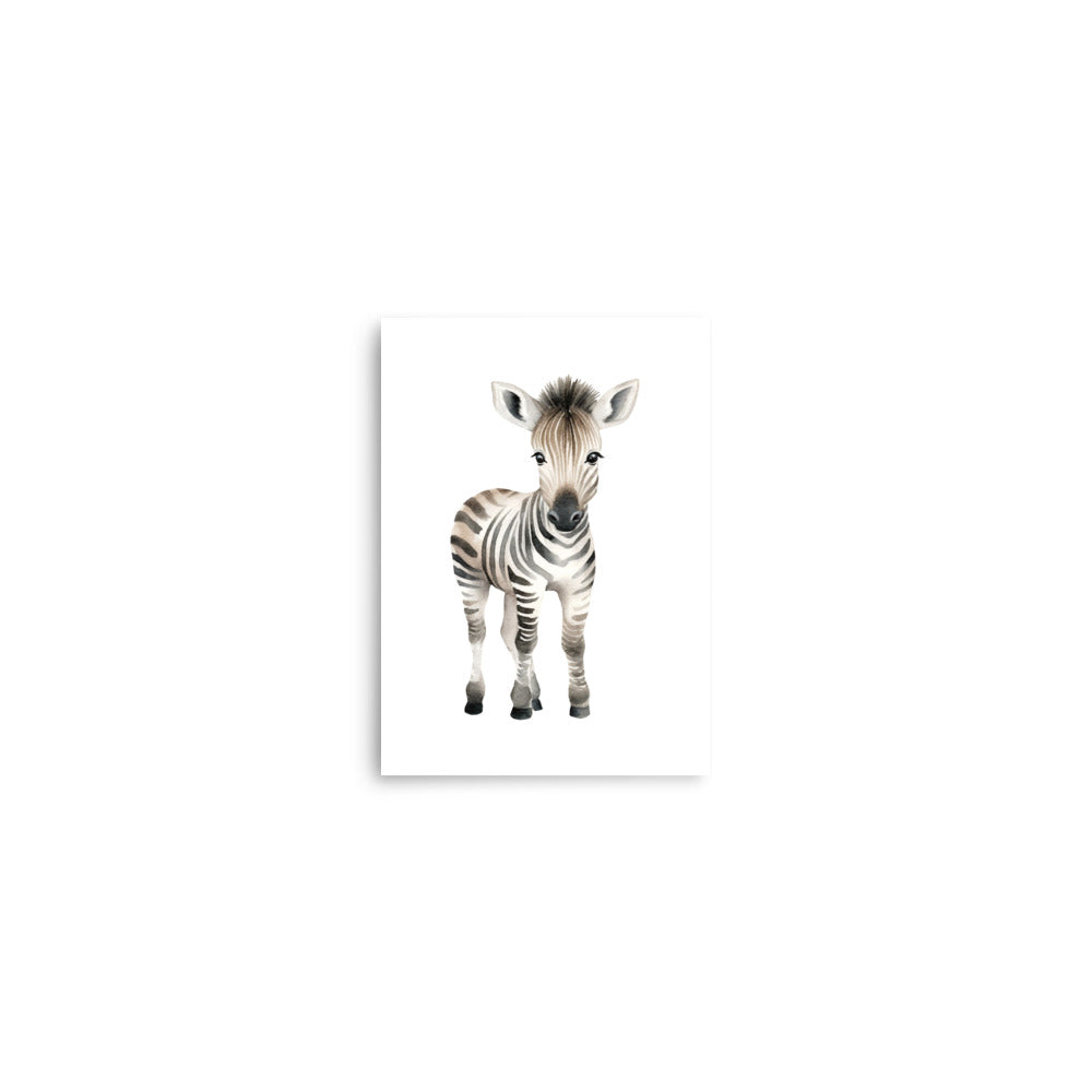 Baby Zebra baby animals art print