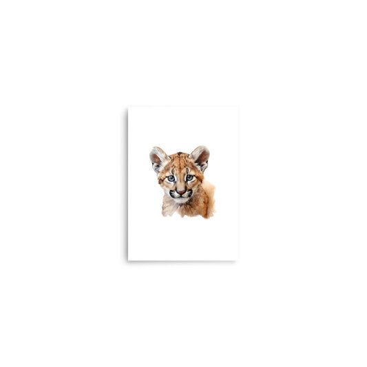 baby puma baby animals art print