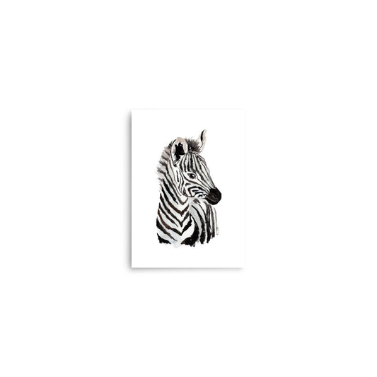 zebra baby animals art print