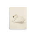 Load image into Gallery viewer, Vintage Swan a vintage-inspired baby room nursery art print
