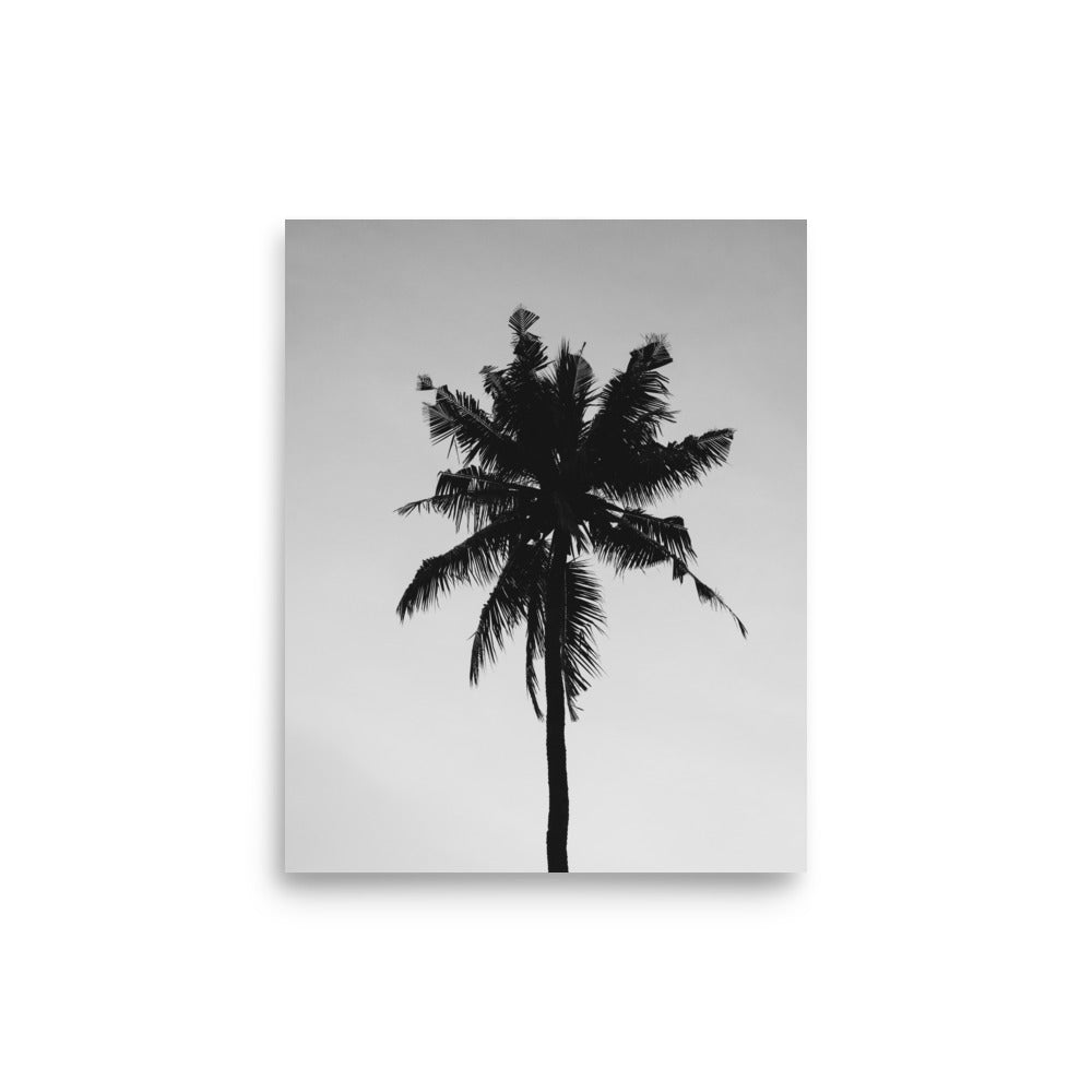 Palm